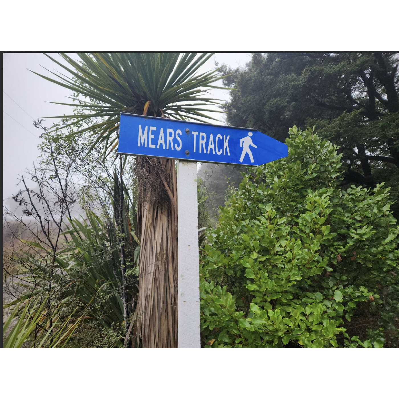Mears Track