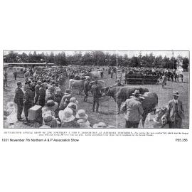 Northern A&P Association Show, 7 November 1931
