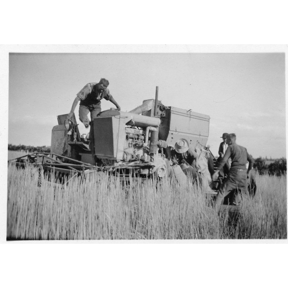 Harvesting, 1930s