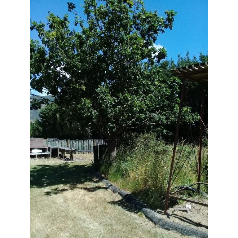 Lees Valley School grounds