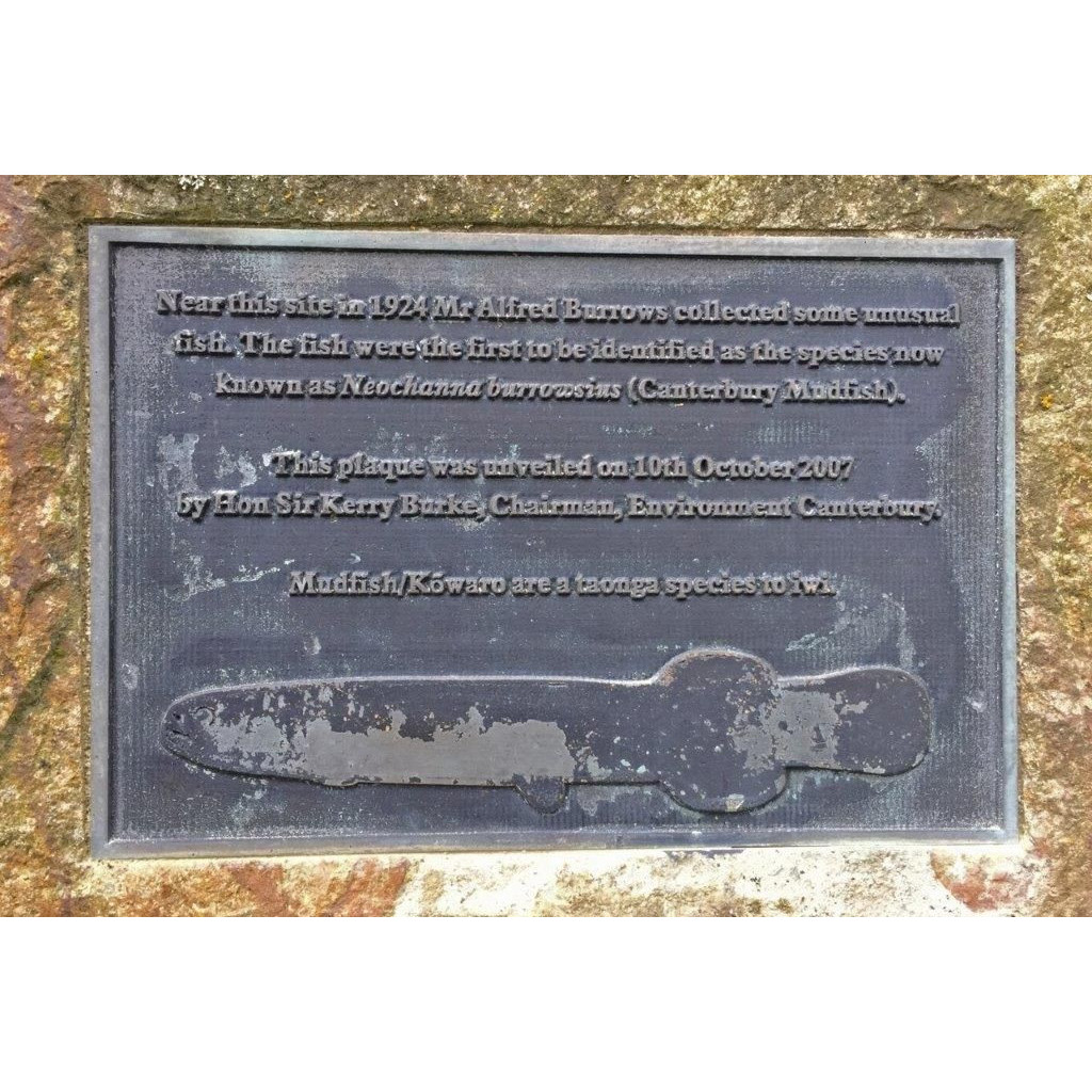 Canterbury Mudfish plaque detail