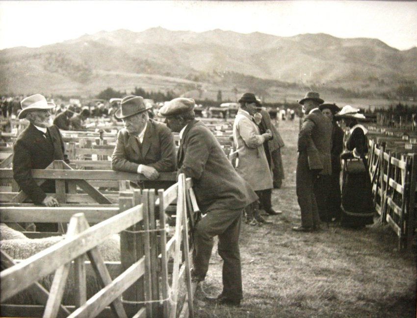 John O'Halloran (pictured far left) at the sheep pens during the Oxford A&P Show, c.1900